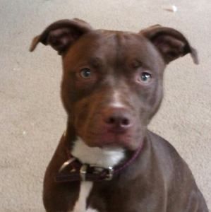 Meet your Posher, Eddie